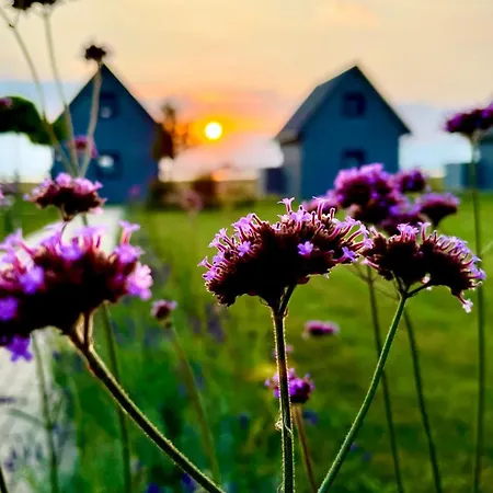 Słoneczna Przystań Dziwnówek