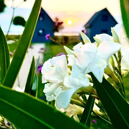 Słoneczna Przystań Dom wakacyjny *