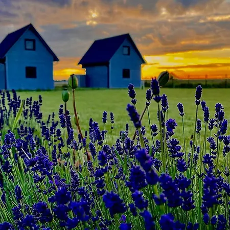 Słoneczna Przystań Dom wakacyjny