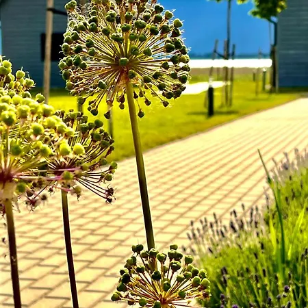 Dom wakacyjny Słoneczna Przystań