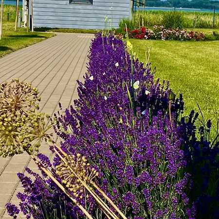 Słoneczna Przystań Dziwnówek