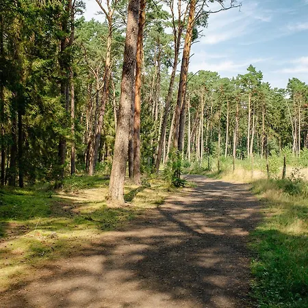 Dom wakacyjny Słoneczna Przystań *