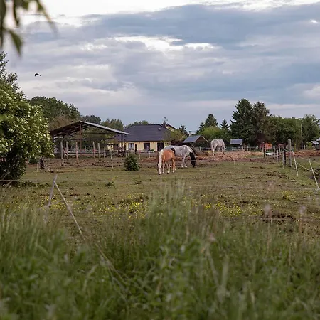Słoneczna Przystań * Dziwnówek