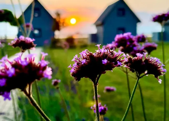 Słoneczna Przystań Dziwnówek