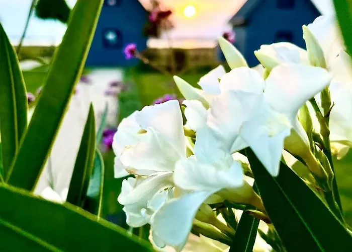 Słoneczna Przystań Dom wakacyjny *