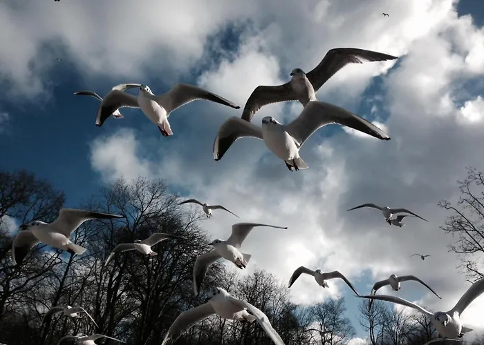 Słoneczna Przystań Dziwnówek