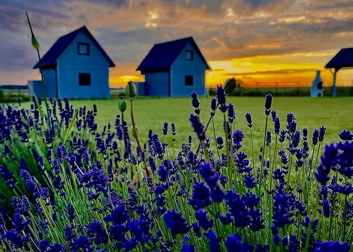 Słoneczna Przystań Dom wakacyjny
