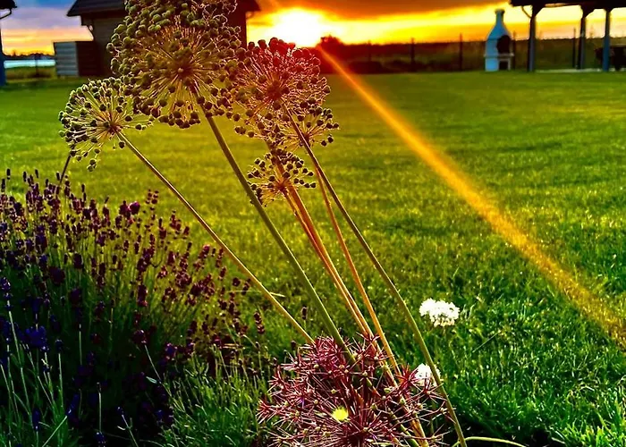 Dom wakacyjny Słoneczna Przystań *