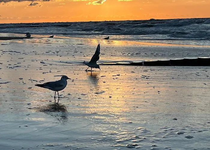 Słoneczna Przystań Dom wakacyjny Dziwnówek