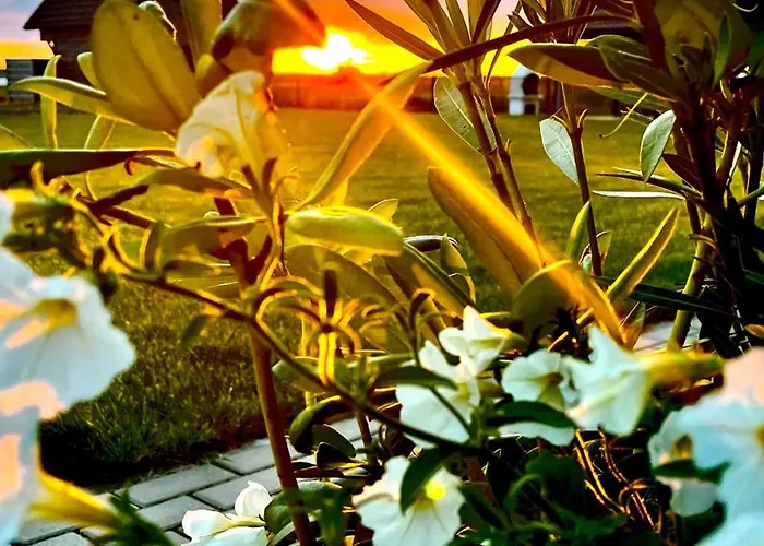 Słoneczna Przystań Dziwnówek