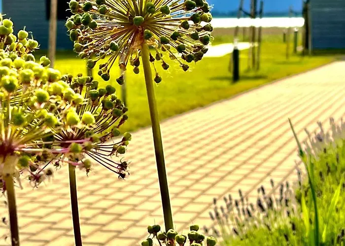 Dom wakacyjny Słoneczna Przystań