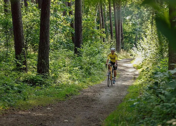 Dom wakacyjny Słoneczna Przystań Dziwnówek