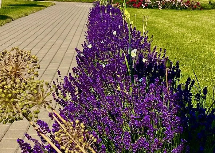 Słoneczna Przystań Dziwnówek