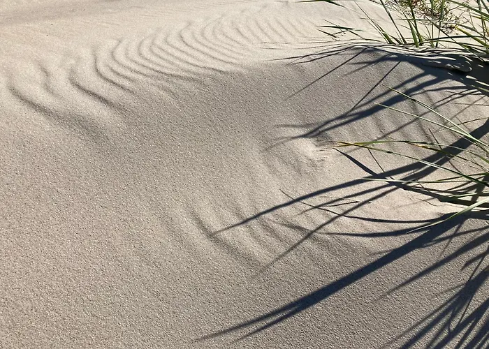 Słoneczna Przystań Dziwnówek