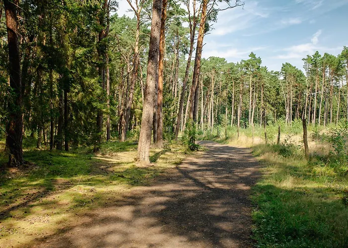 Dom wakacyjny Słoneczna Przystań *