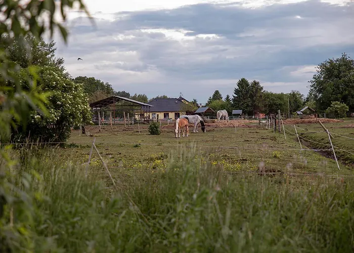 Słoneczna Przystań * Dziwnówek